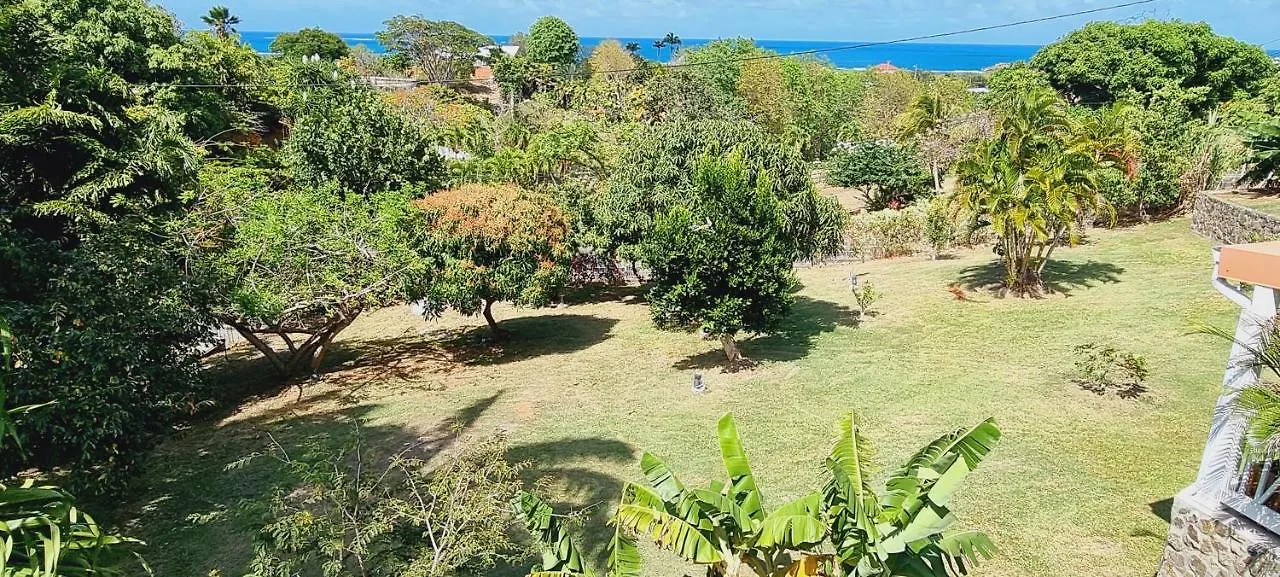 Les Hauts Du Cap Le Francois Martinique